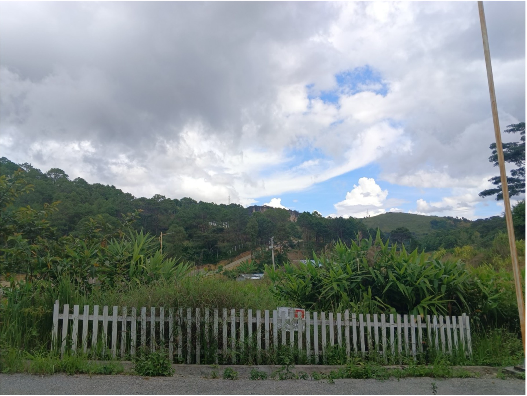 Paradise Plot-105 (Kalaw Garden Estate)